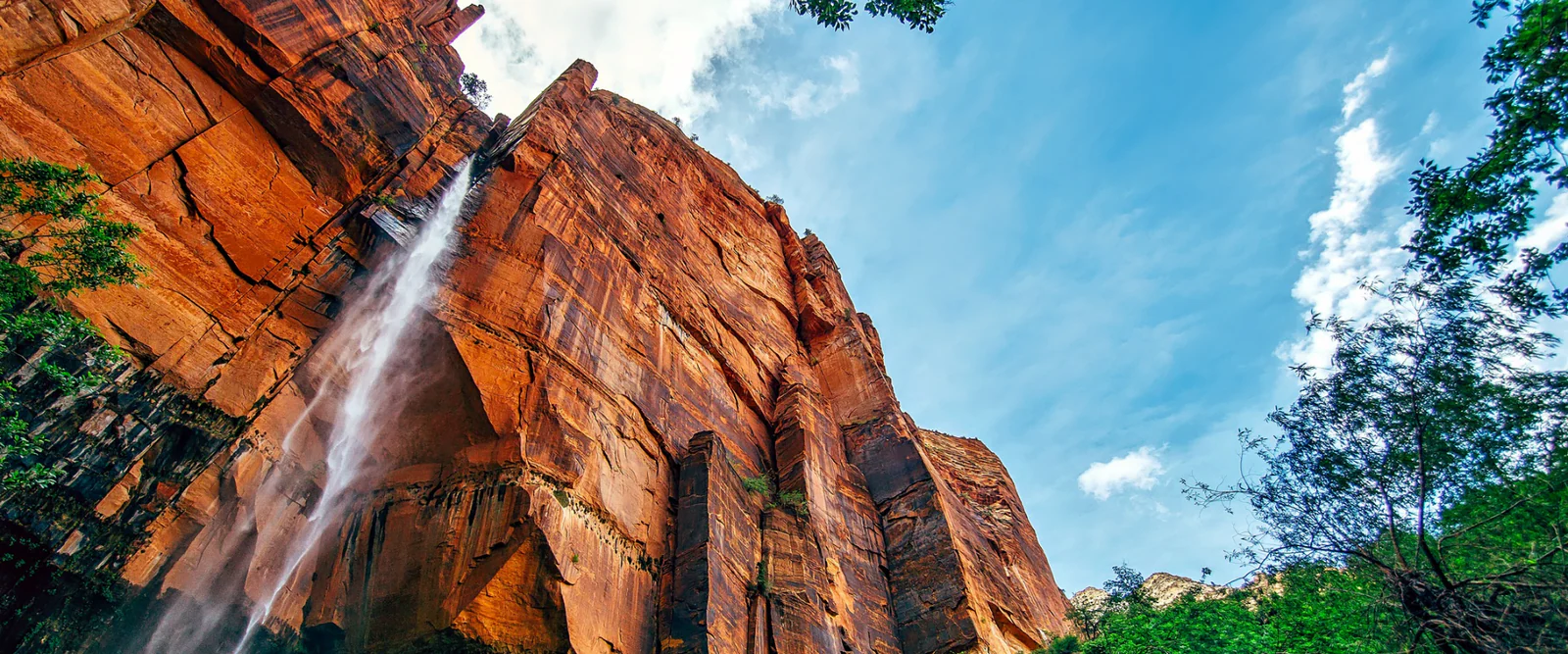 Wear Your Love for Zion