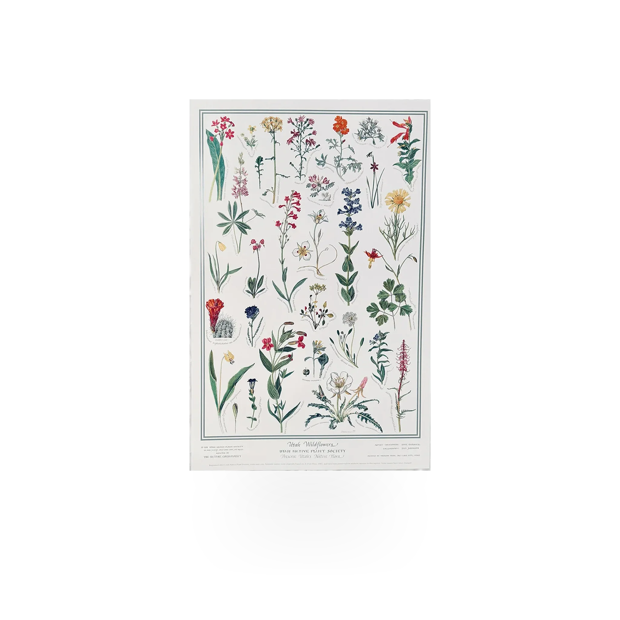 Posters